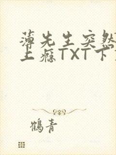 薄先生突然黏她上瘾TXT下载