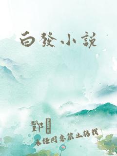 白发小说
