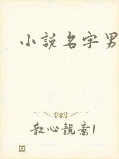 小说名字男生