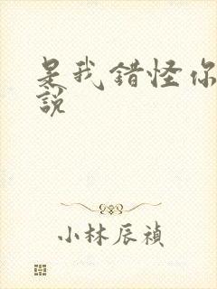 是我错怪你了小说