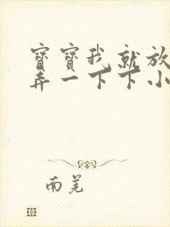 宝宝我就放进去弄一下下小说