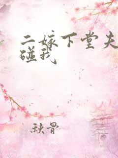 二嫁下堂夫君别碰我