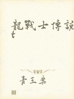 龙战士传说txt
