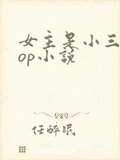 女主是小三的pop小说