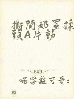 撕开奶罩揉吮奶头A片动