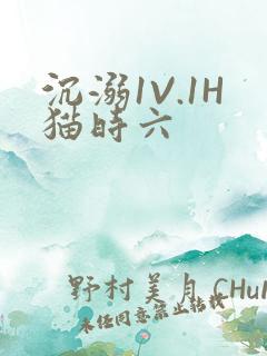 沉溺1V.1H猫时六