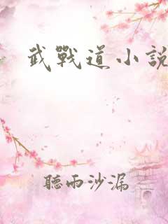武战道小说