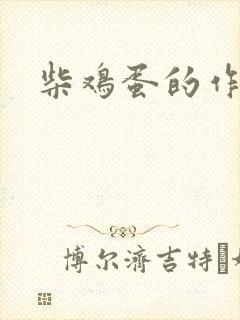 柴鸡蛋的作品