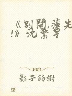 《别闹,薄先生!》沈繁星