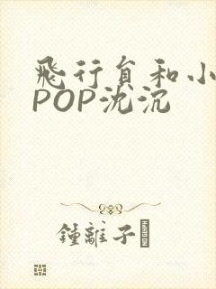 飞行员和小空乘POP沈沉