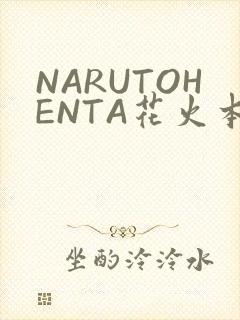 NARUTOHENTA花火本子