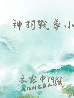 神羽战尊小说