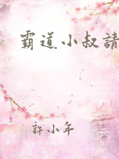 霸道小叔请轻撩