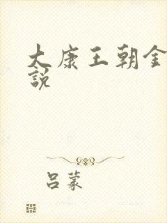 大康王朝金峰小说