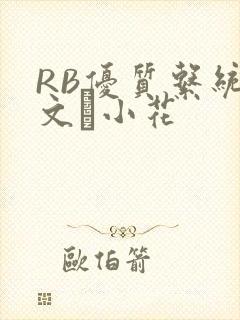 RB优质系统全文寀小花