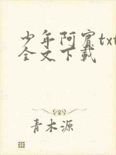 少年阿宾txt全文下载