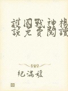 护国战神杨风小说免费阅读