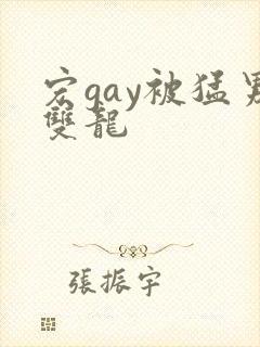 宏gay被猛男双龙