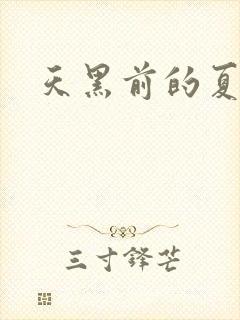 天黑前的夏天
