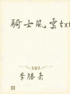 骑士风云txt