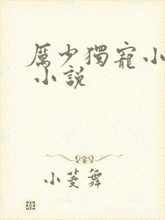 厉少独宠小娇妻 小说