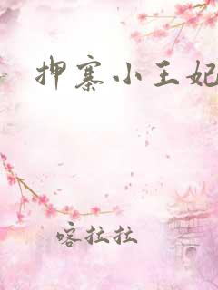 押寨小王妃