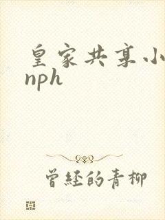 皇家共享小公主nph