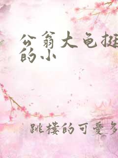 公翁大龟挺进我的小