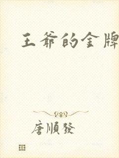 王爷的金牌暗卫