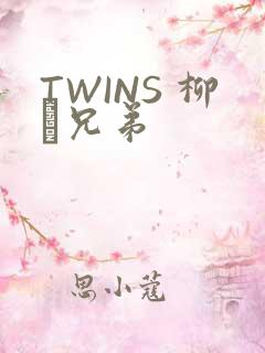 TWINS 柳澤兄弟