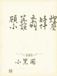 顾苒季时煜电竞小说叫什么名字