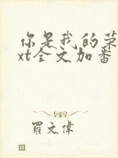 你是我的荣耀txt全文加番外