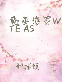 飞丞惩罚WRITE AS