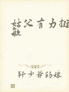 姑父有力挺送赵敏