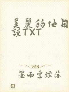 美丽的他日剧小说TXT
