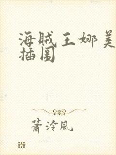 海贼王娜美被轮插图