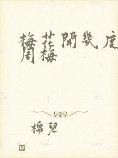 梅花开几度老张周梅