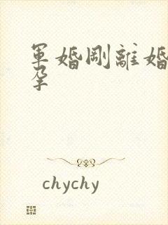 军婚刚离婚就怀孕