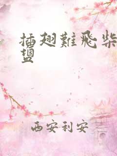 插翅难飞柴米油盐