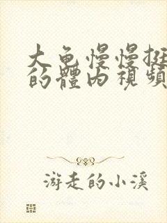 大龟慢慢挺进我的体内视频