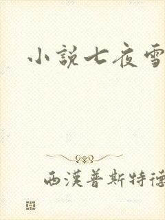 小说七夜雪下载