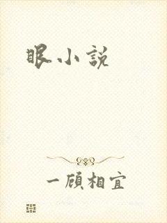 眼小说