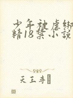 少年被虐绑着榨精18禁小说