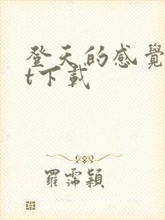 登天的感觉txt下载