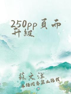 250pp页面升级