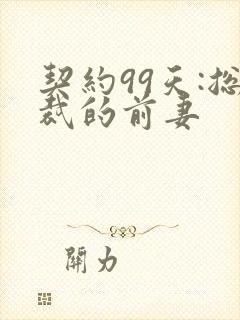契约99天:总裁的前妻
