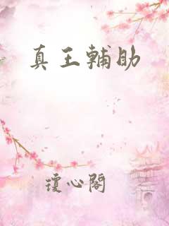真王辅助
