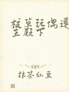 校草玩偶遵命公主殿下