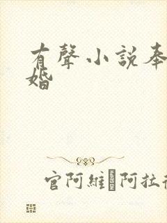 有声小说奉子成婚