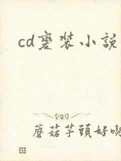 cd变装小说